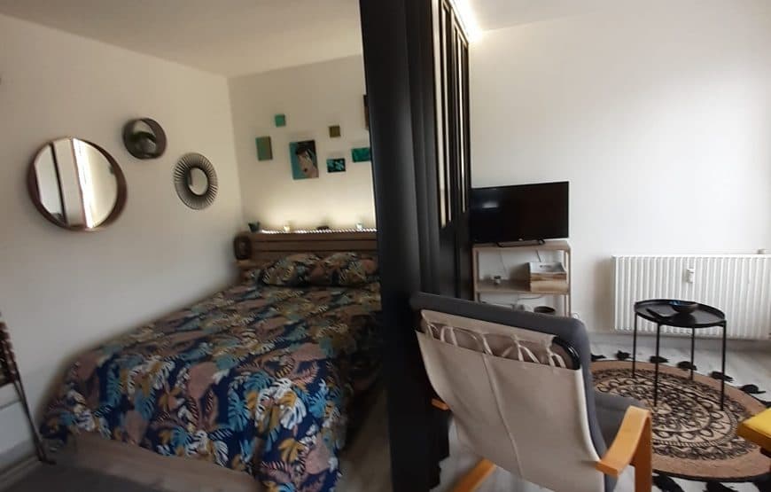 Le Gite d’Alice - Studio à Royat
